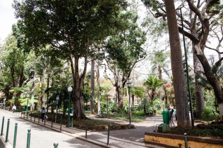 Central Funchal Apartment - Garden - Free Parking & Ac 外观 照片